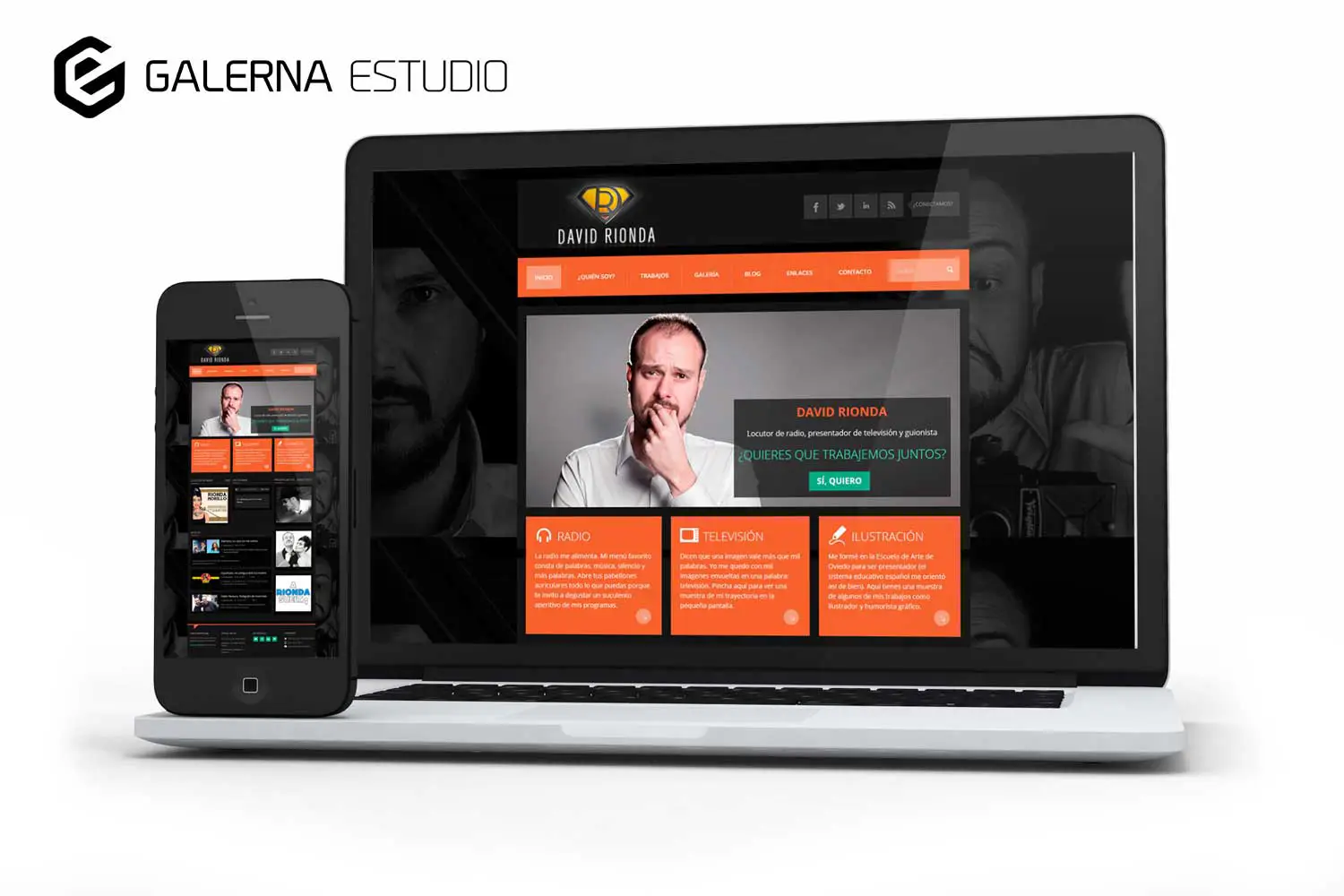 Diseño web profesional Wordpress David Rionda Asturias
