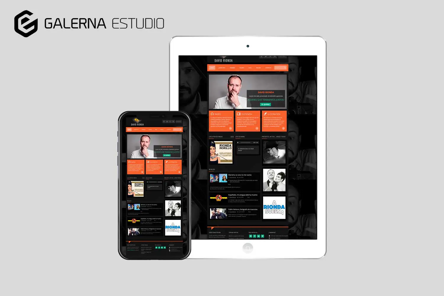 Alojamiento web hosting página de David Rionda Asturias