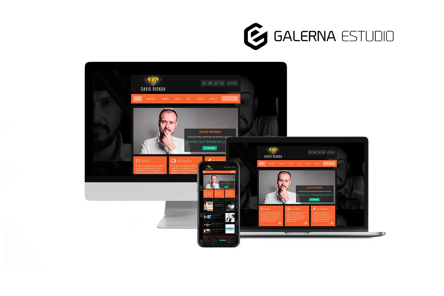 Mantenimiento web Wordpress David Rionda