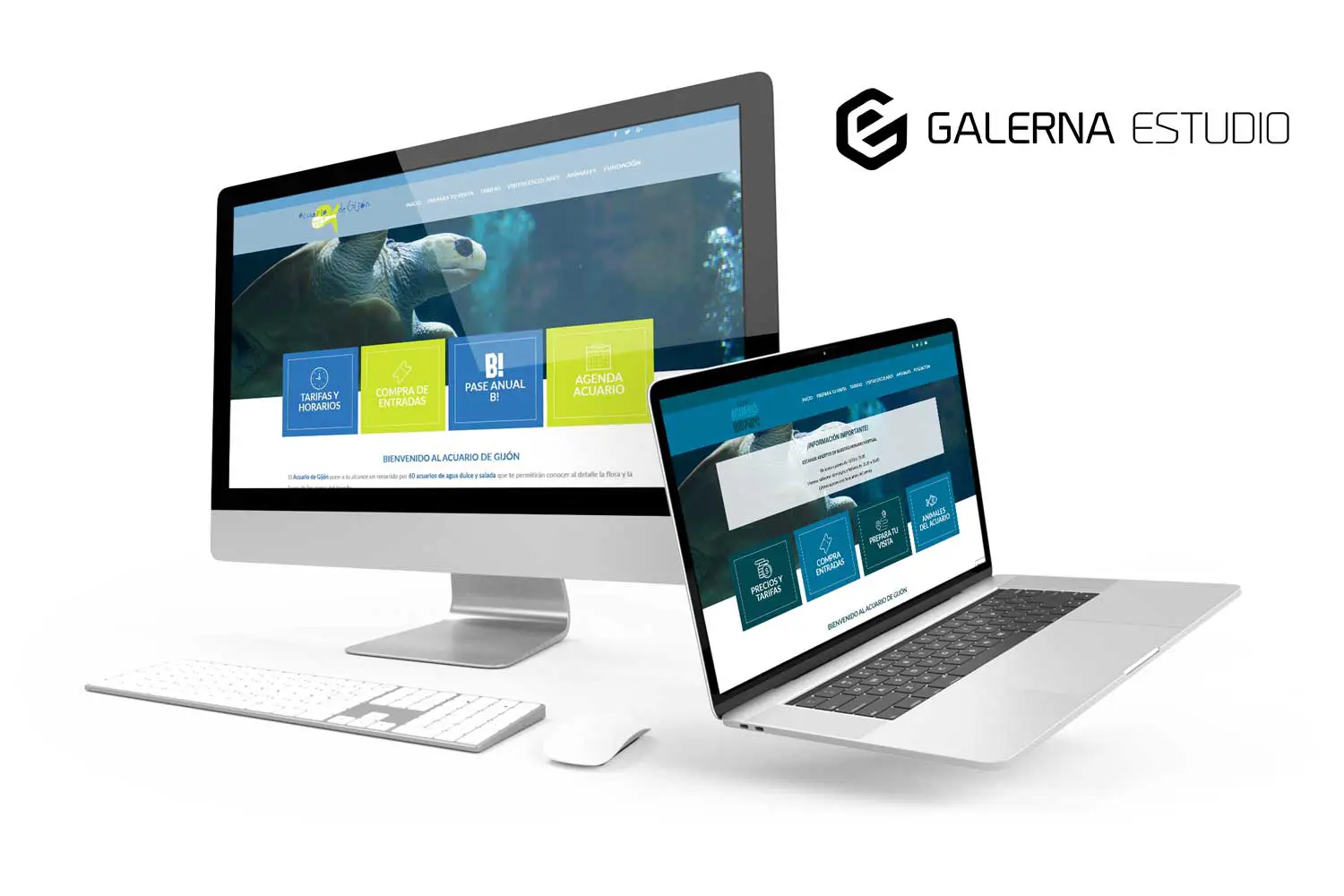 Proyecto Desarrollo web profesional Wordpress Acuario Gijón