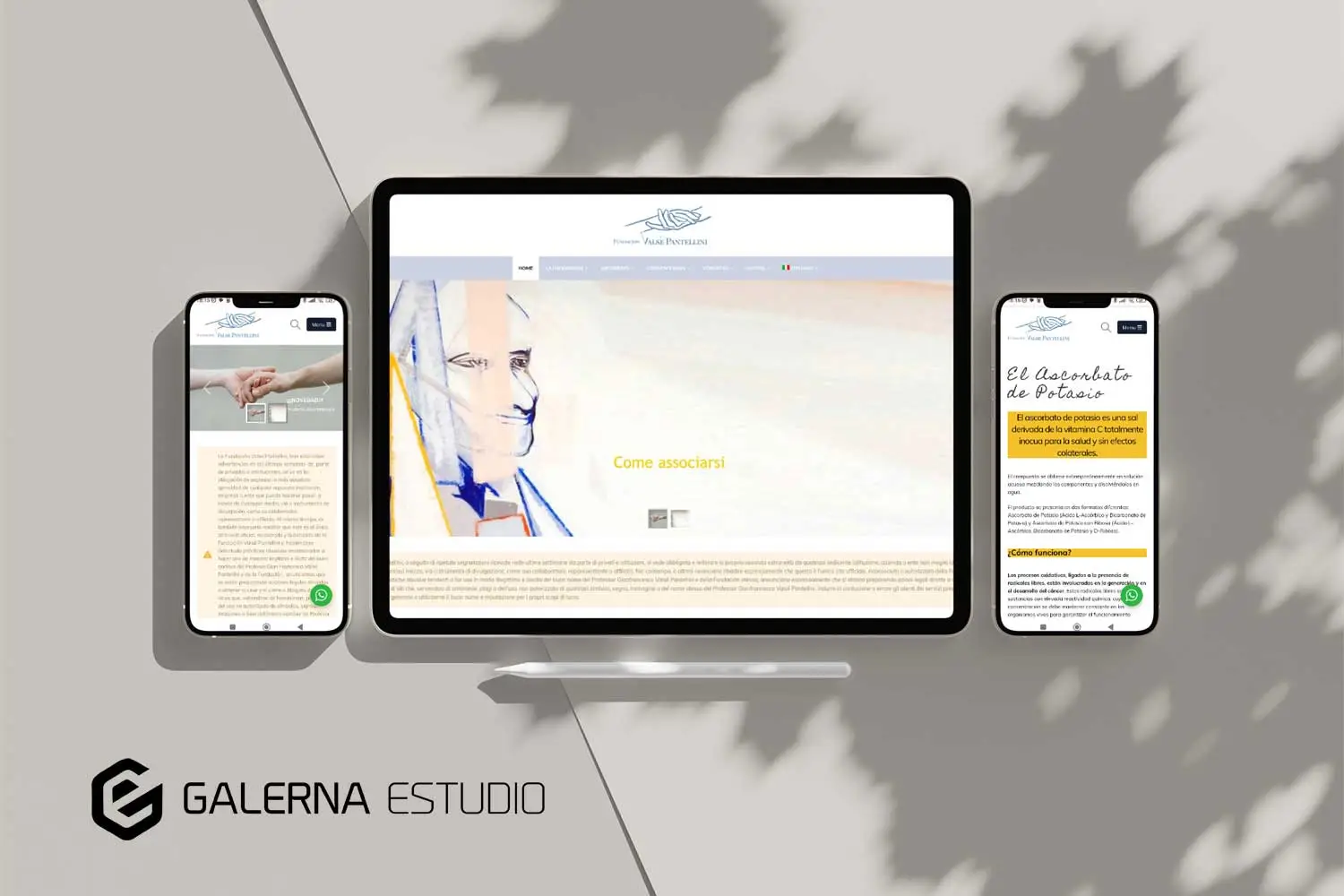 Proyecto web WordPress profesional Valse Pantellini