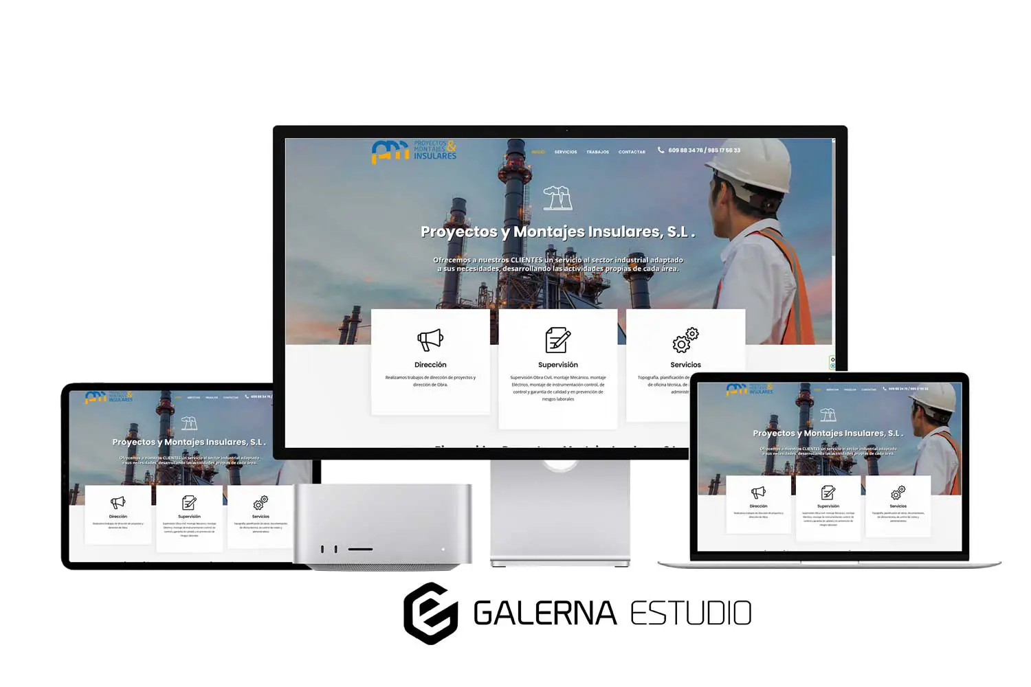Diseño web profesional Wordpress academia Promoin