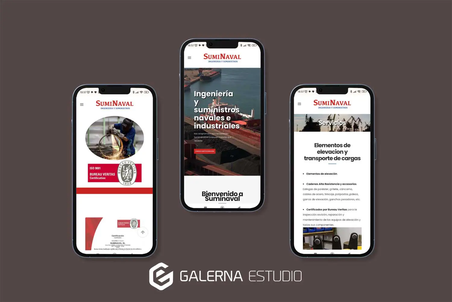 Página web Wordpress adaptada móviles empresa Suminaval