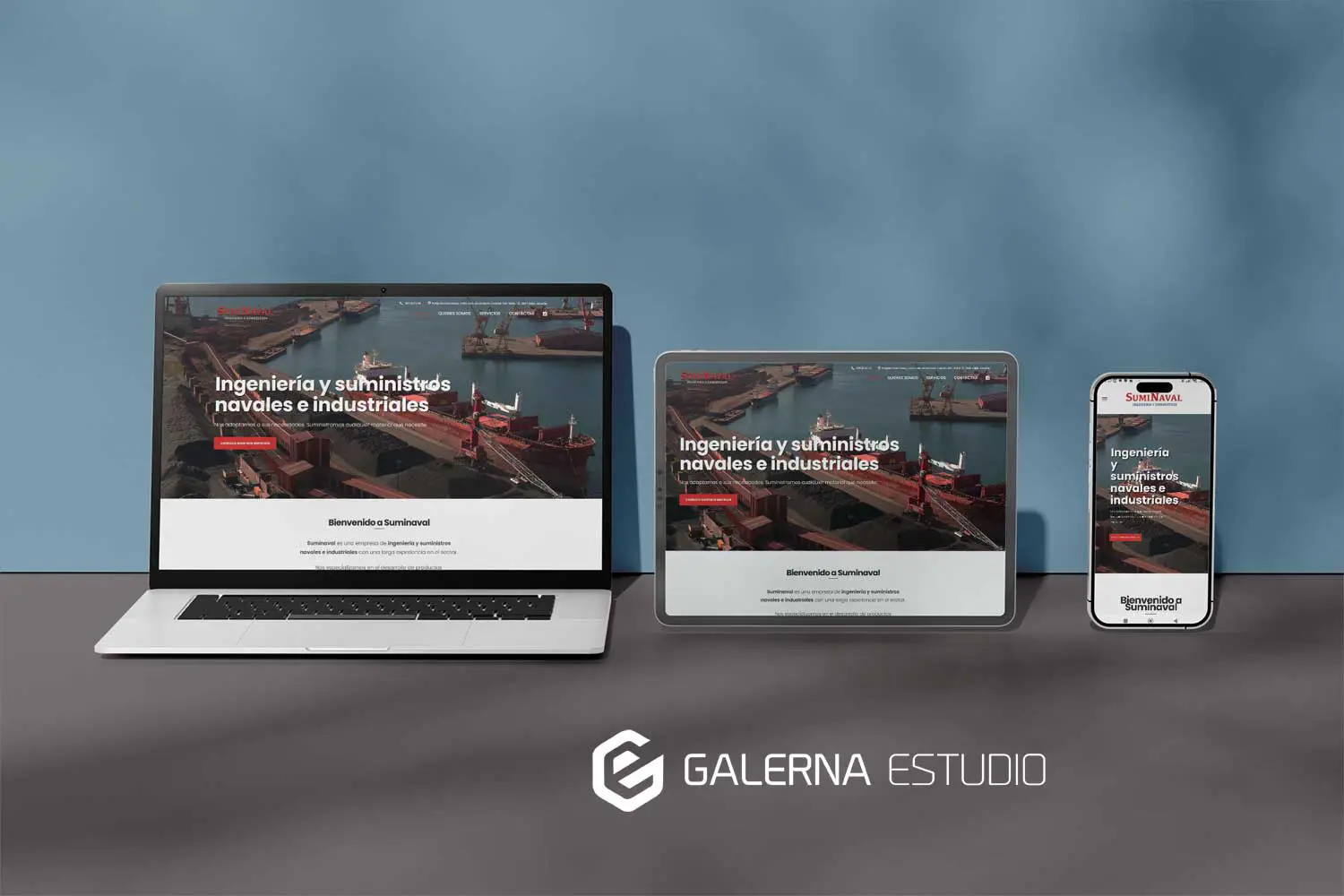 Desarrollo web Wordpress medida empresa naval Suminaval