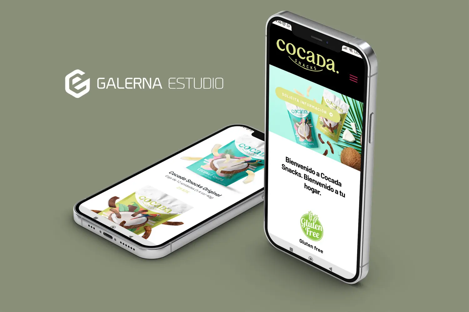 Creación diseño de tienda WordPress Cocada Snack venta de chips coco.