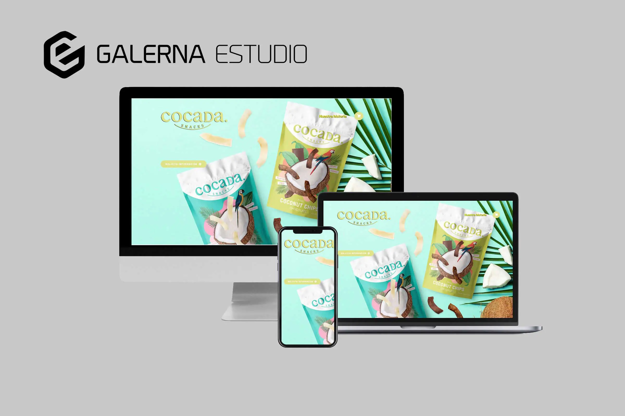 Diseño personalizado tienda online Cocada Snack WordPress, productos coco.