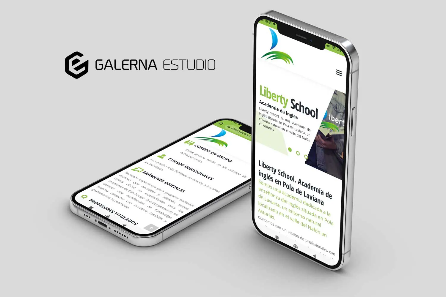 Diseño personalizado web WordPress academia inglés Liberty School.