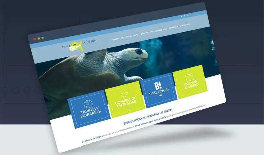 Mantenimiento web Acuario Gijón