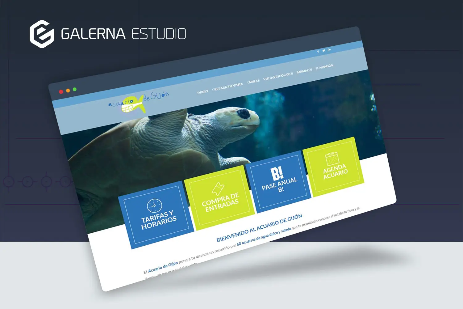 Mantenimiento Wordpress Acuario Gijón
