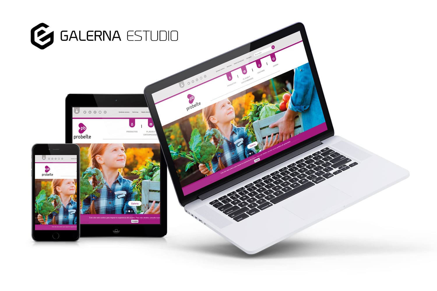 Desarollow web corporativo HTML/CSS Probelte