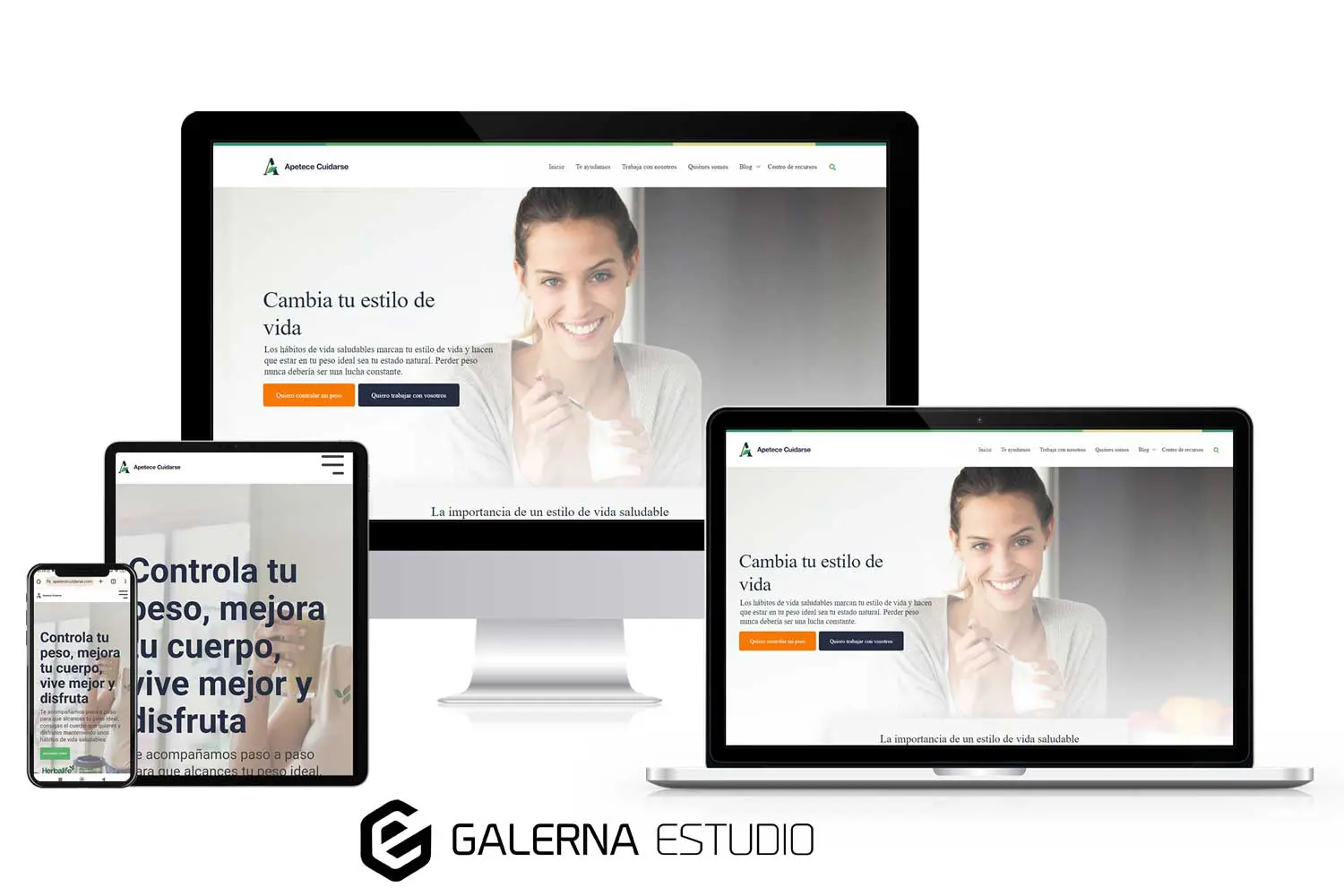 Maquetación HTML/CSS Herbalife bocetos gráficos