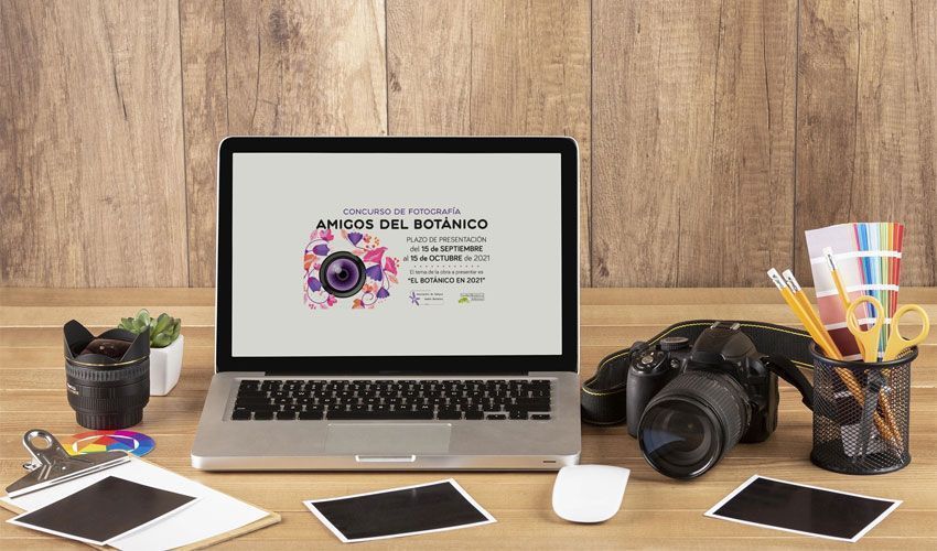 Programación página web concurso fototgrafía Gijón