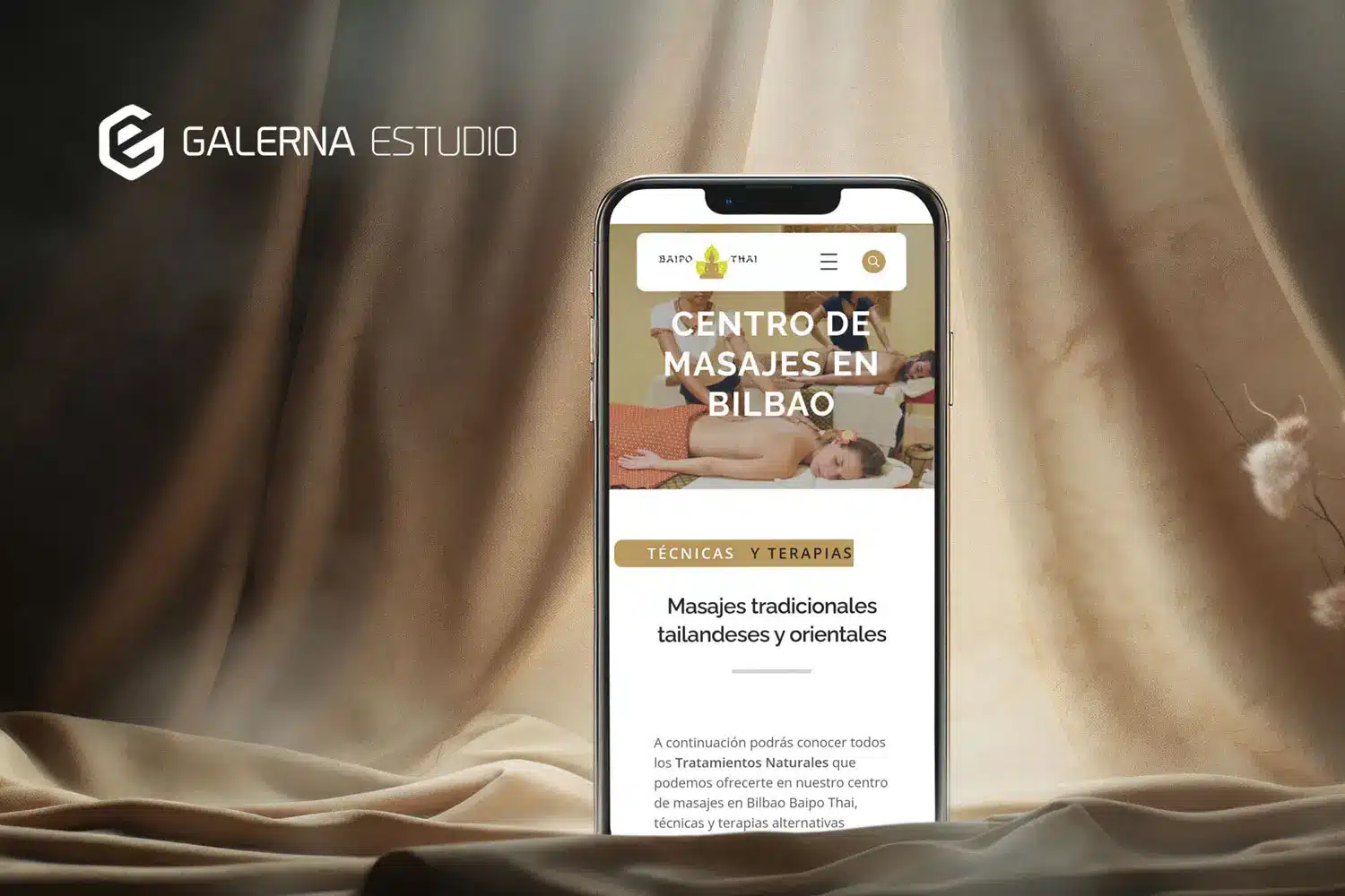 Optimización Sitio Web Elementor Bilbao
