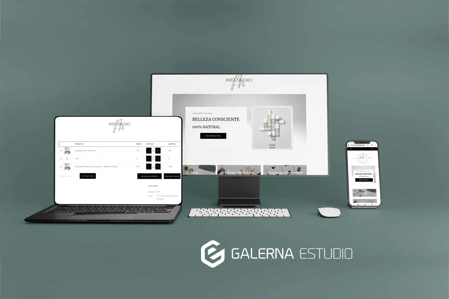 Diseño Wordpress e-commerce responsive hábitos saludables