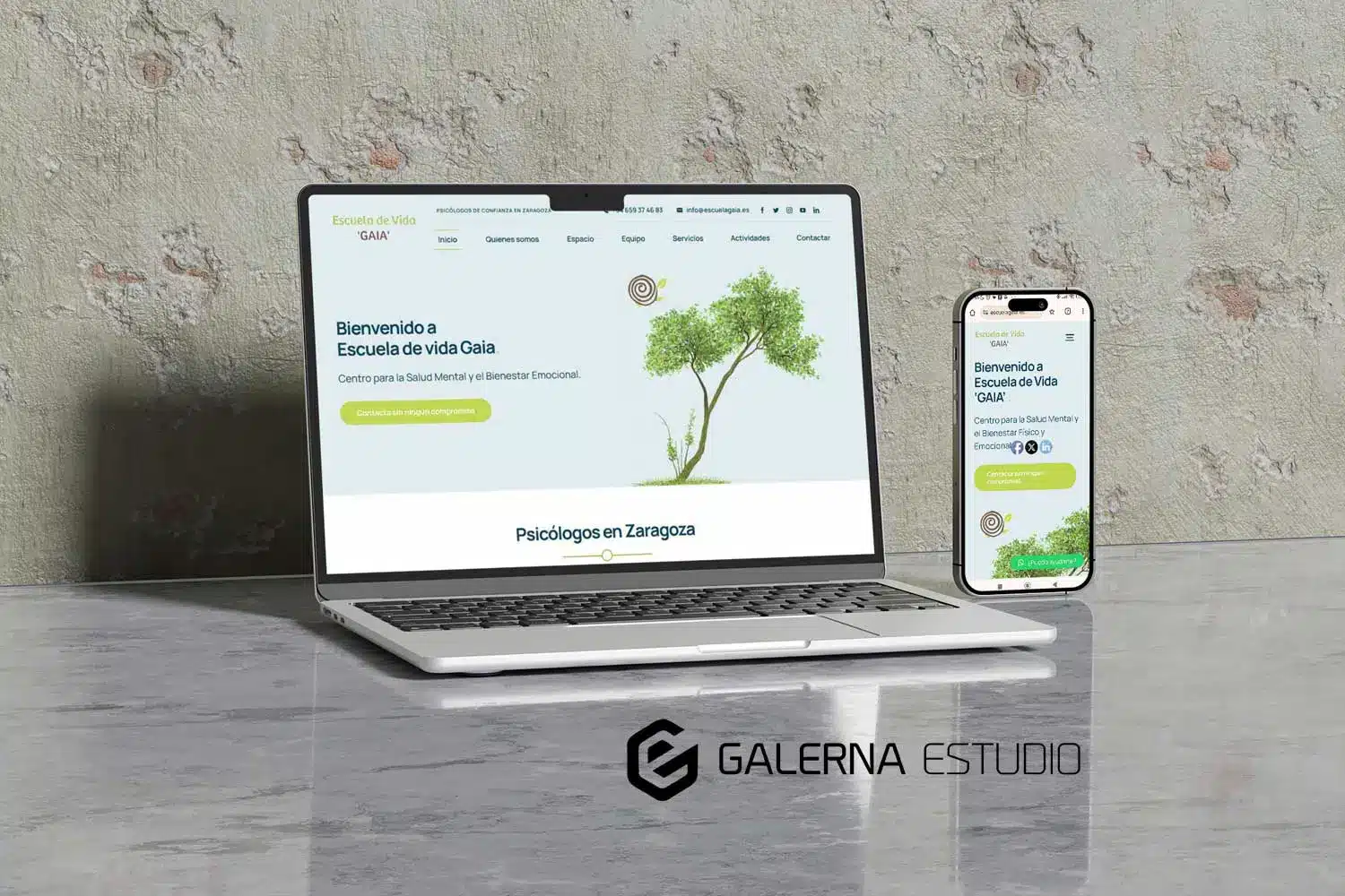 Diseño Wordpress psicólogos en Zaragoza
