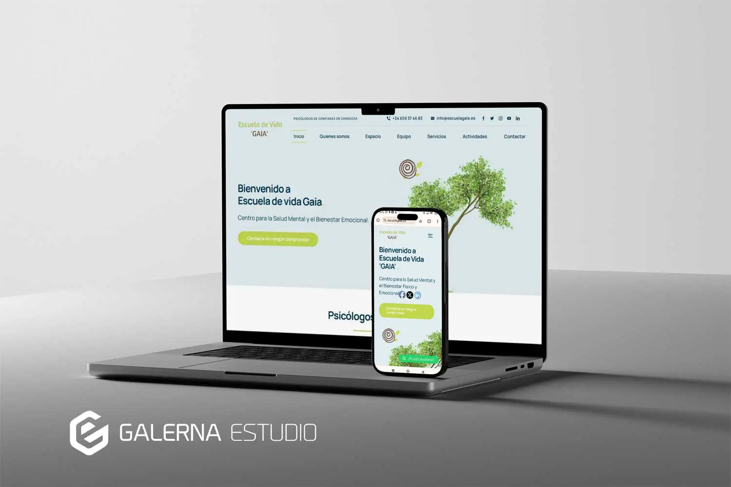 Desarrollo web Wordpress salud mental en Zaragoza