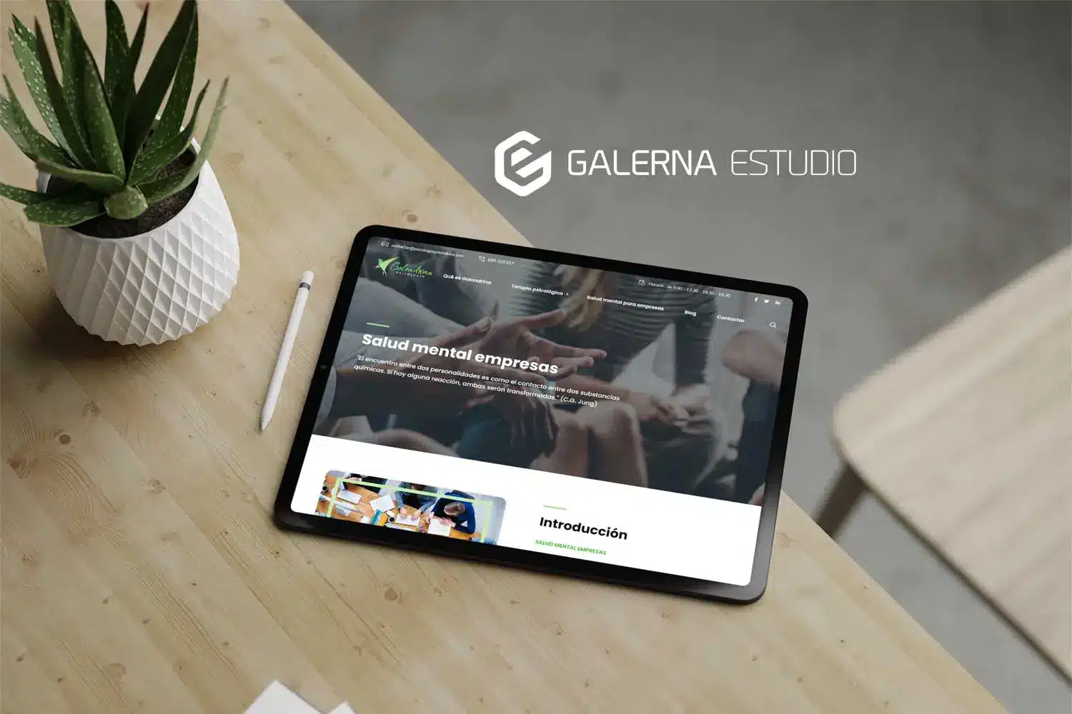 Diseño web Wordpress responsive Psicología Golondrina