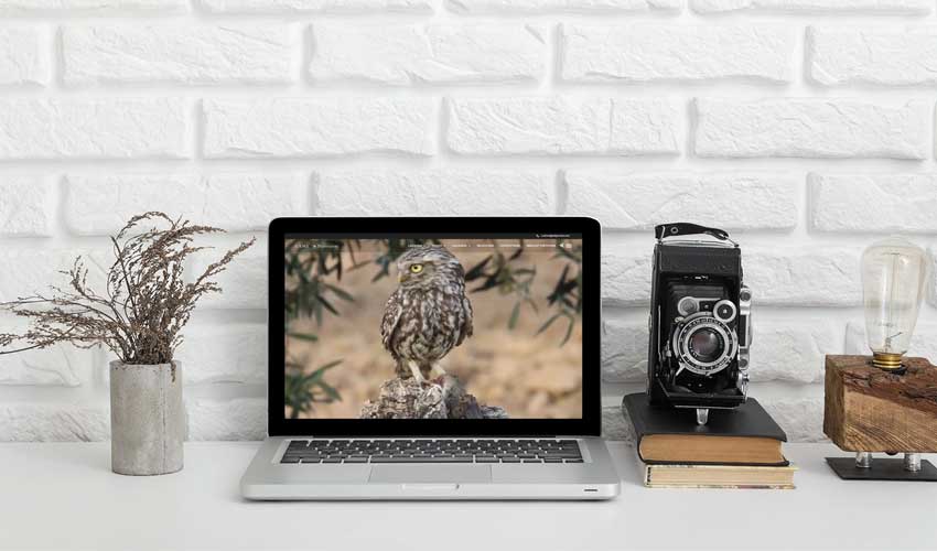 Migración y mantenimiento web página fotografía naturaleza