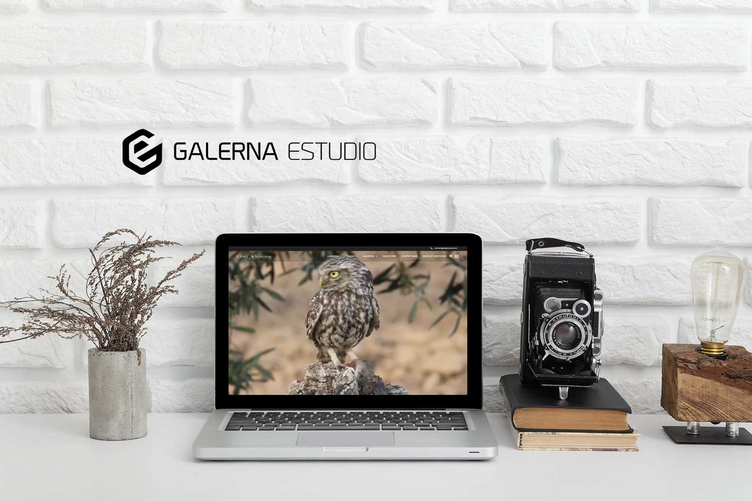 Migración mantenimiento web página WordPress fotografía
