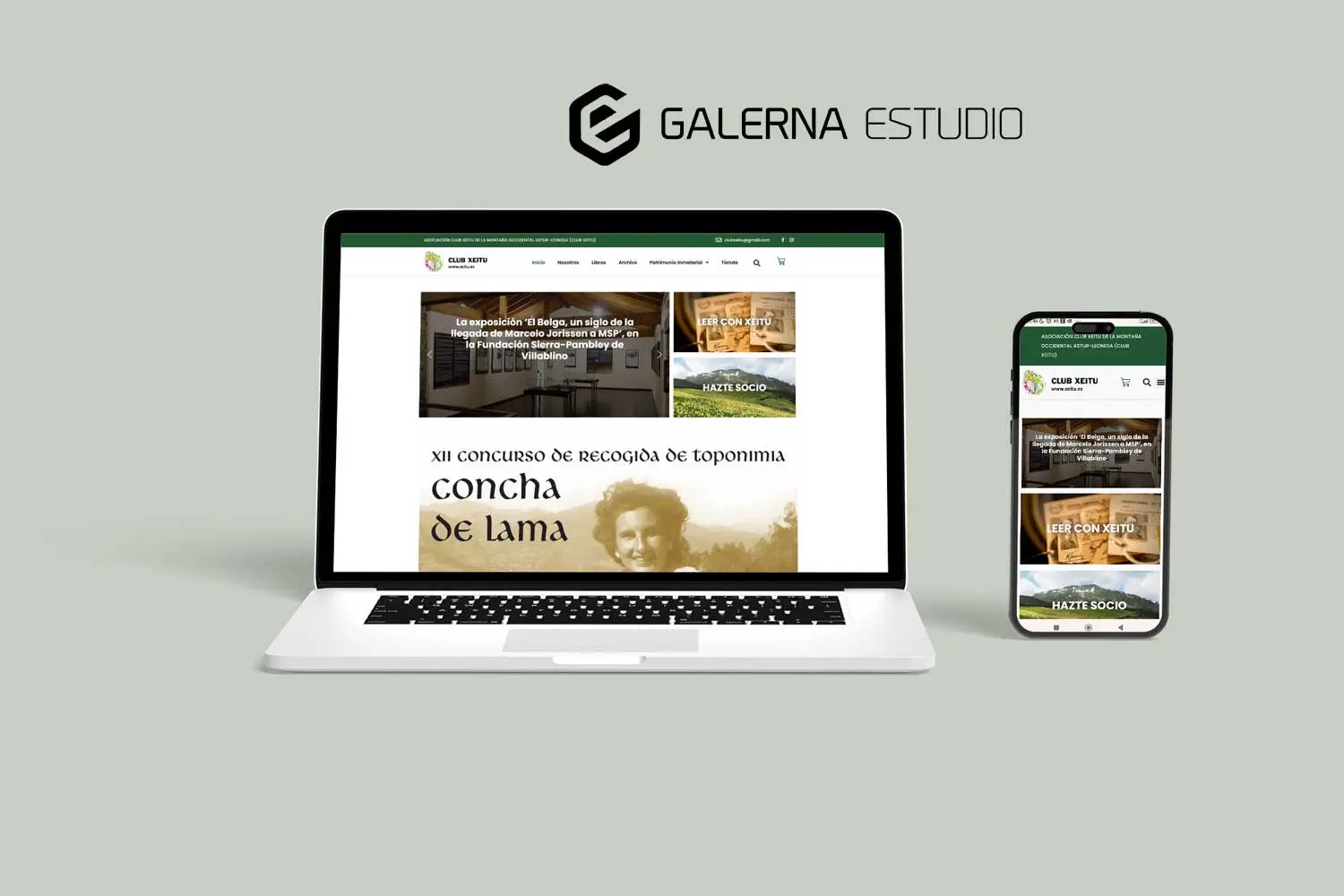 xeitu-diseno-web-programacion-wordpress-2