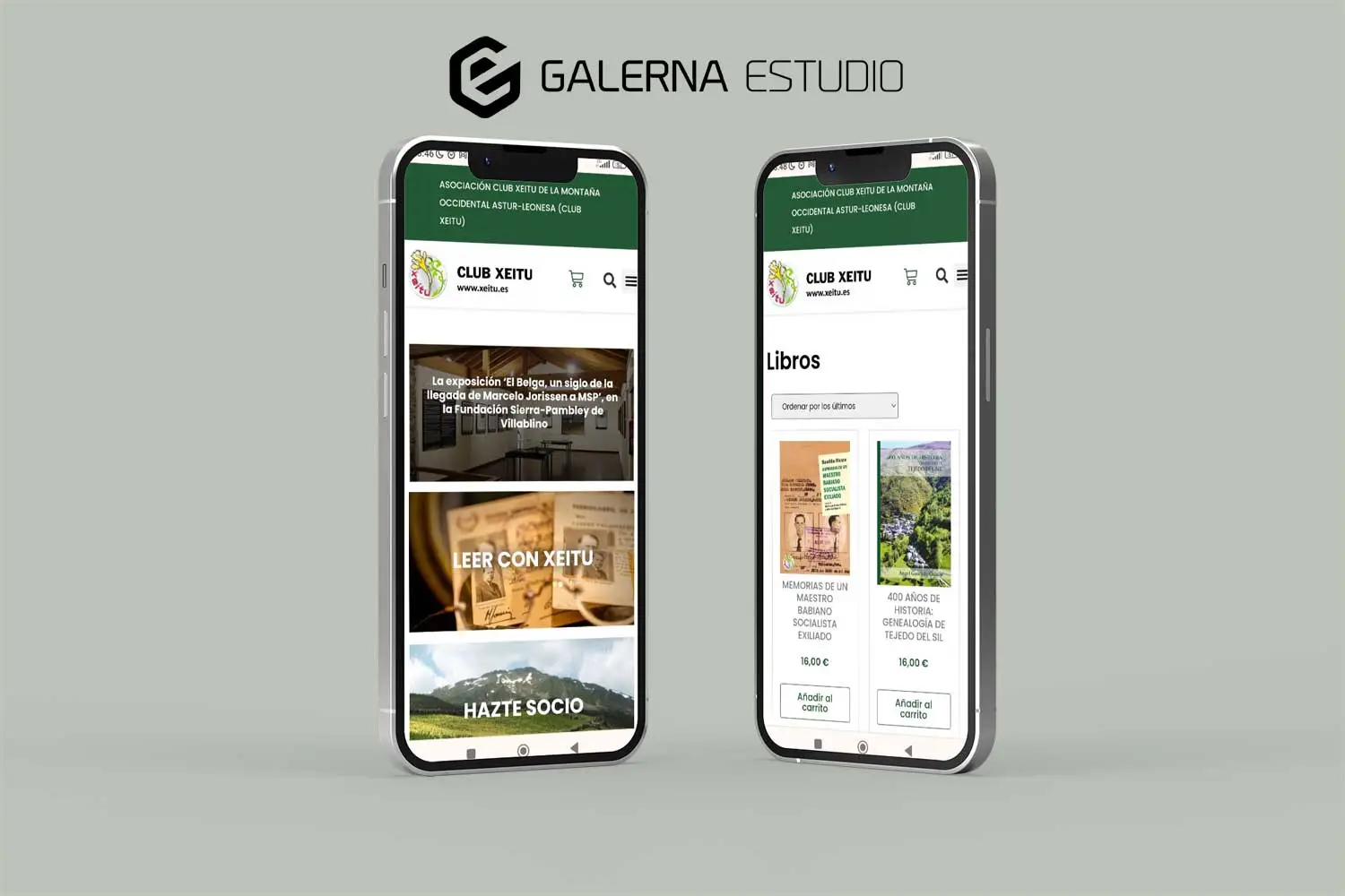 Diseño web adaptado a móviles WordPress Xeitu
