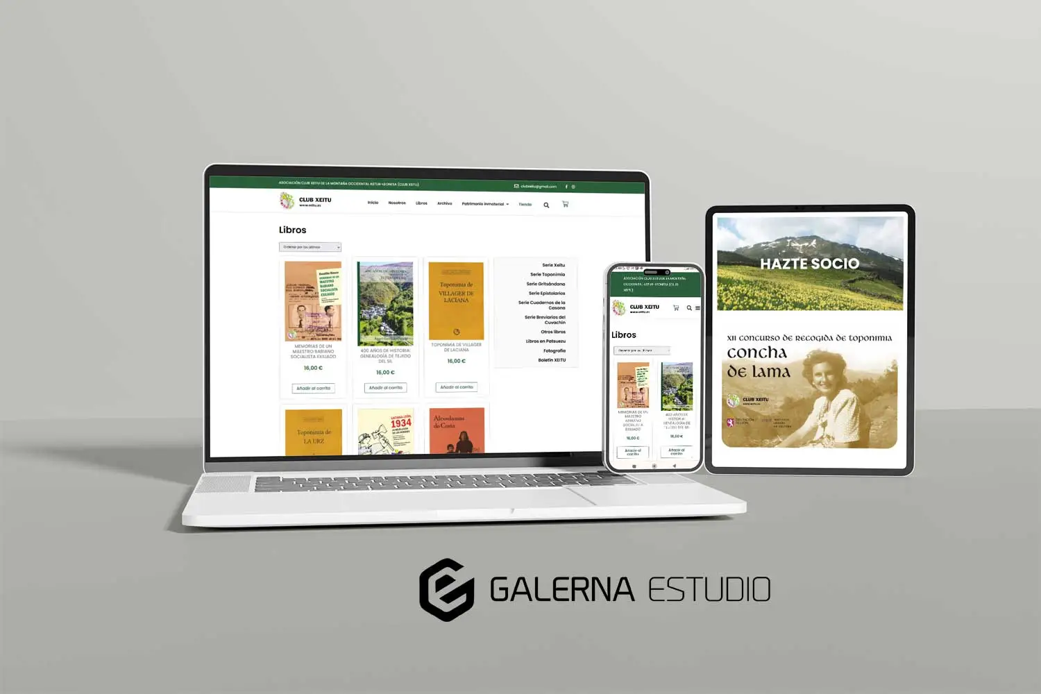 Página web adaptada móviles WordPress Xeitu