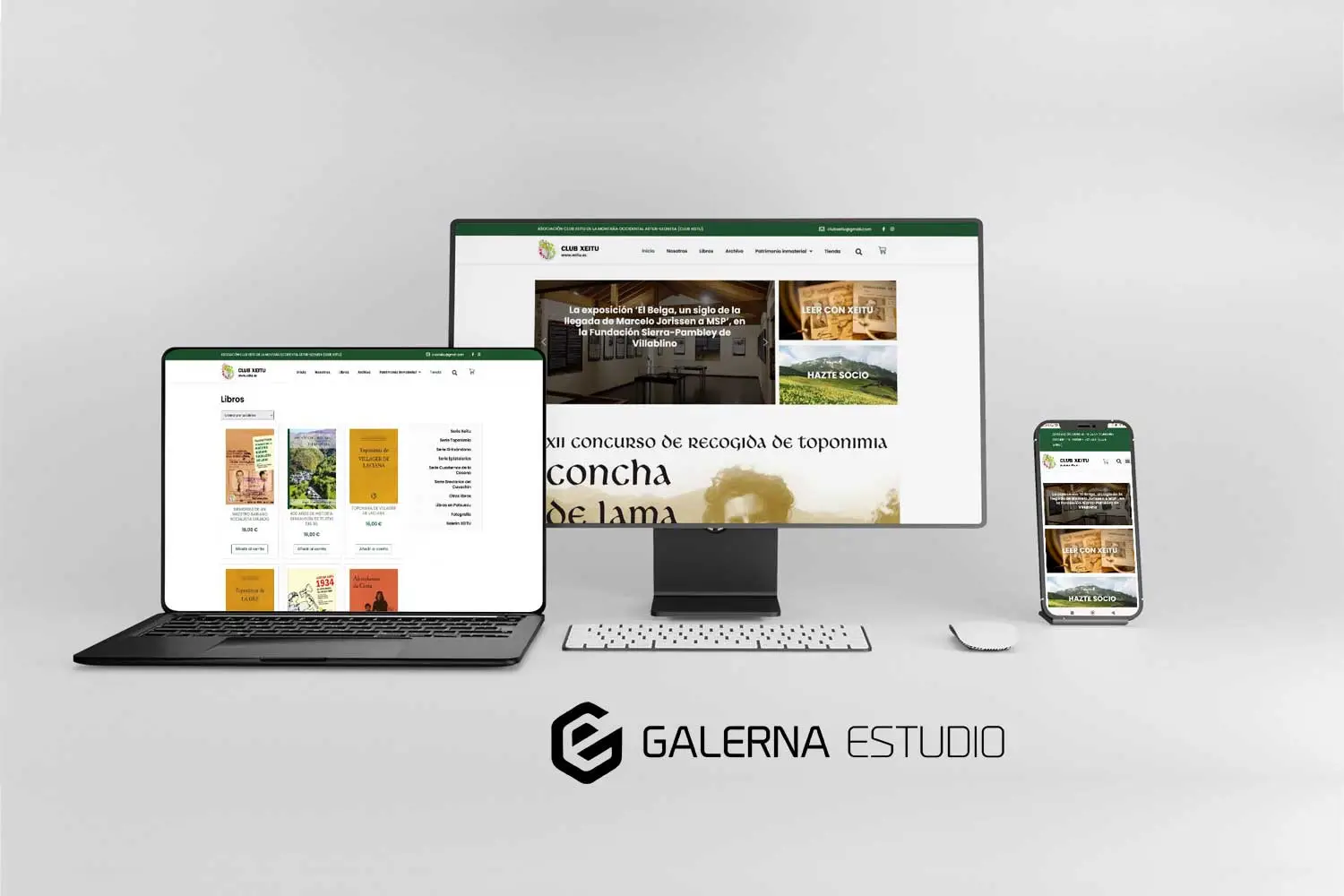Diseño Wordpress responsive WordPress Xeitu