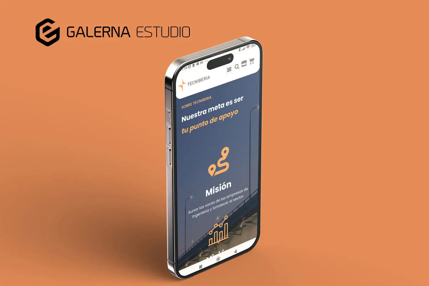 Web Wordpress adaptada móviles Tecniberia
