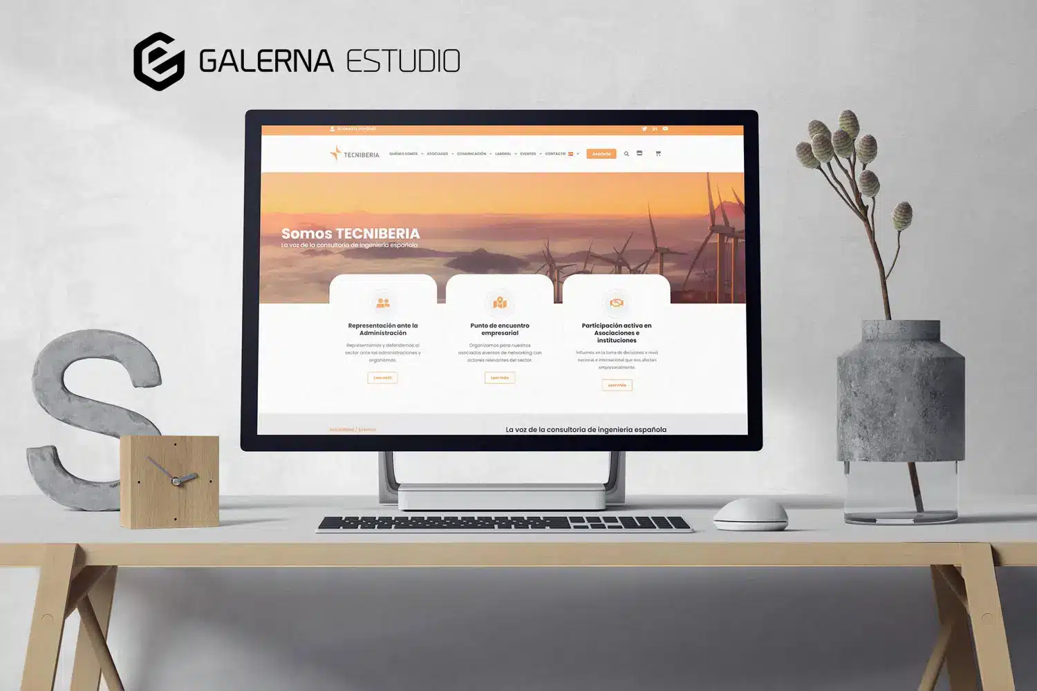 Diseño web Wordpress medida Tecniberia
