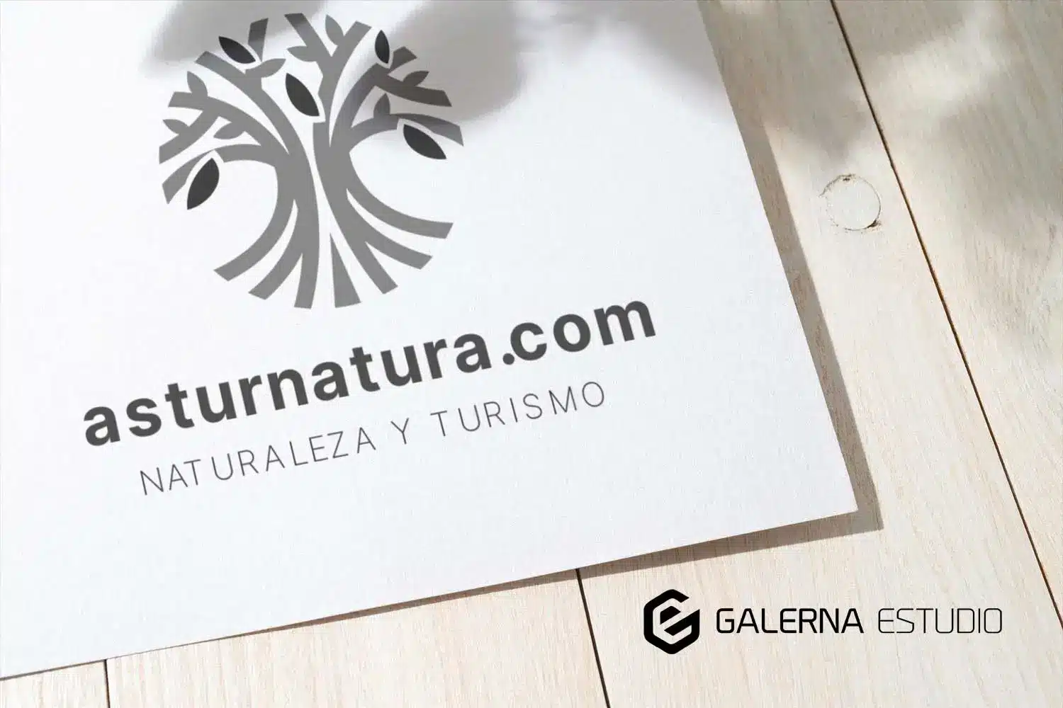 Diseño imagen corporativa Asturnatura