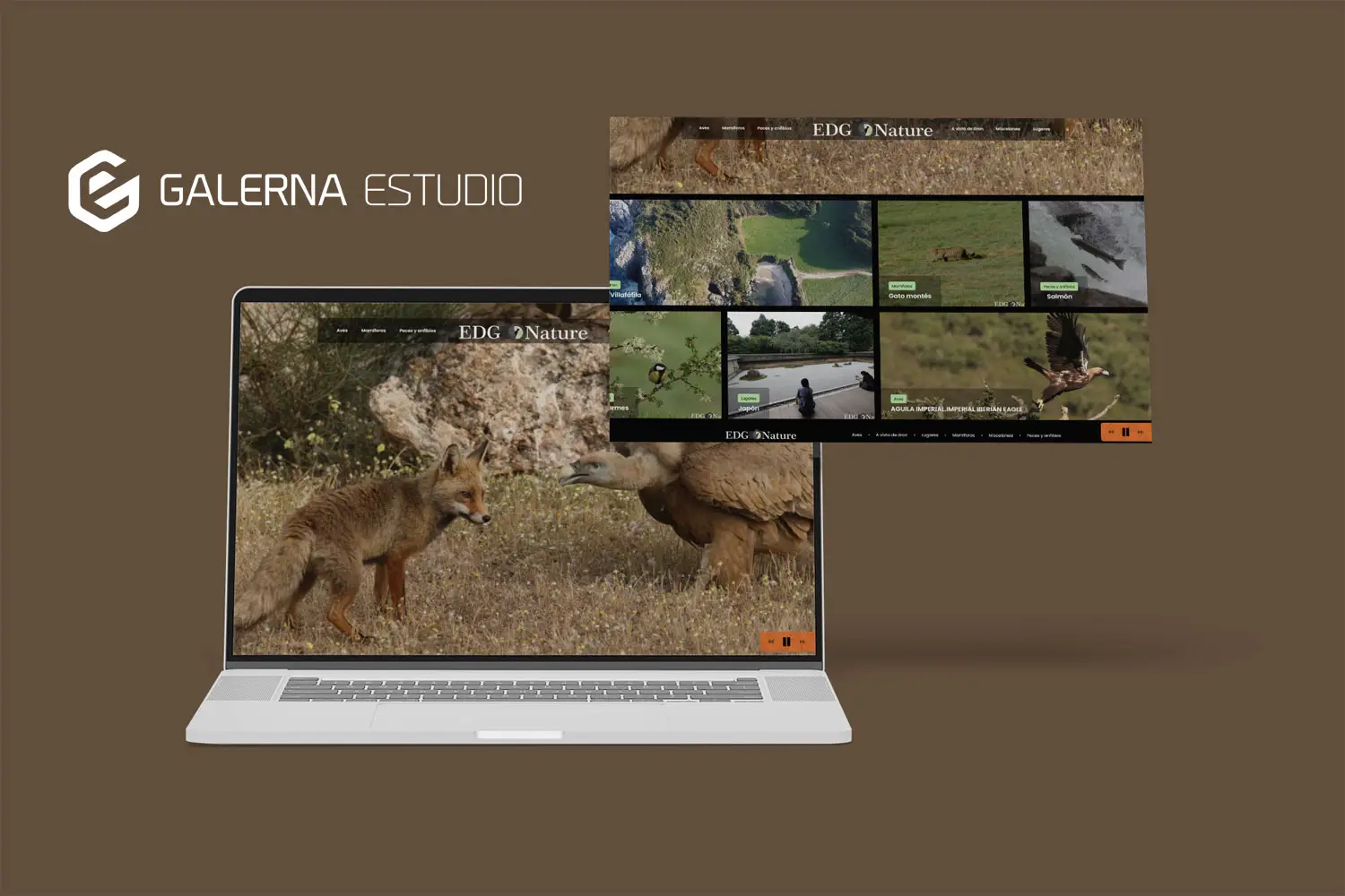Proyecto web Wordpress web fotografía