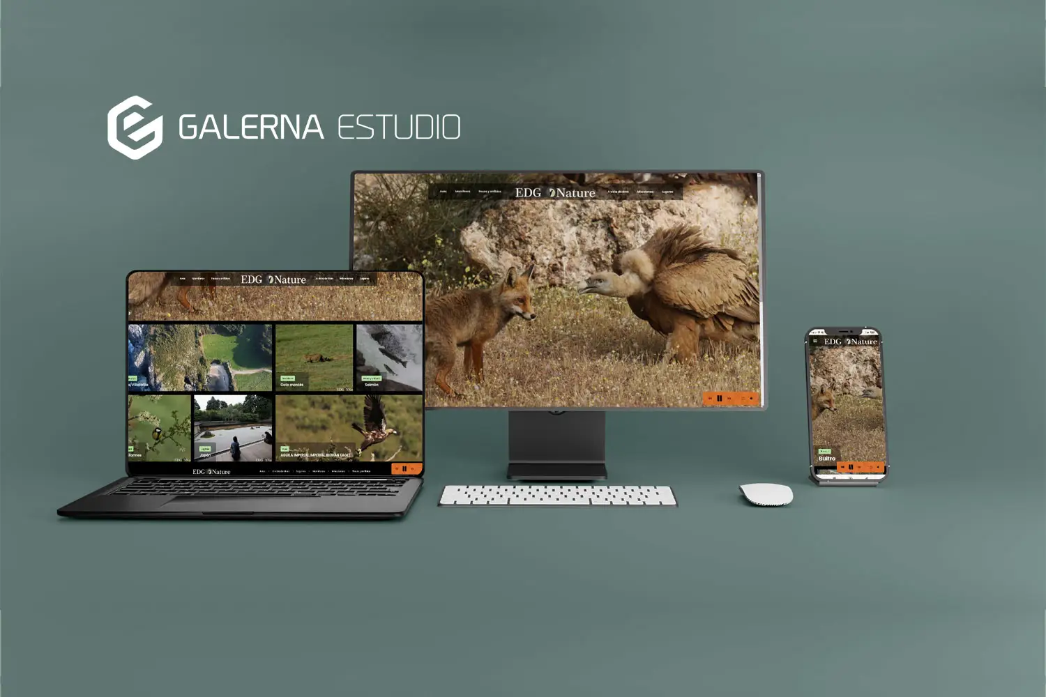 Diseño página web Wordpress fotografía