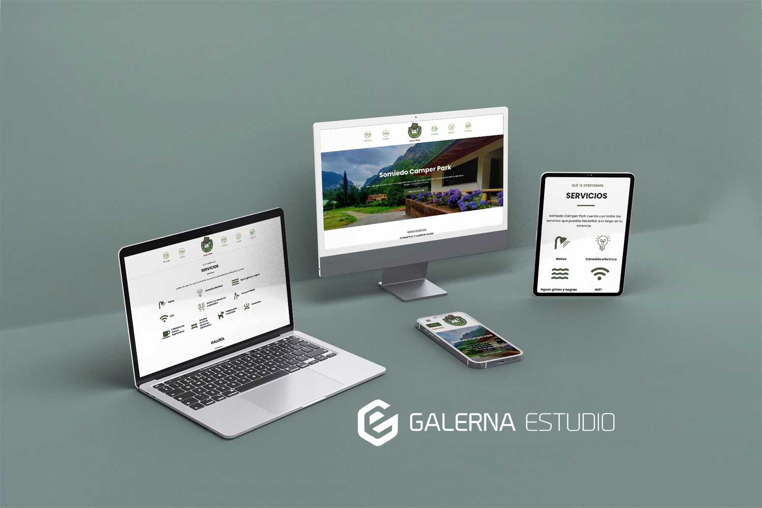 Proyecto web Wordpress responsive Wordpress Asturias