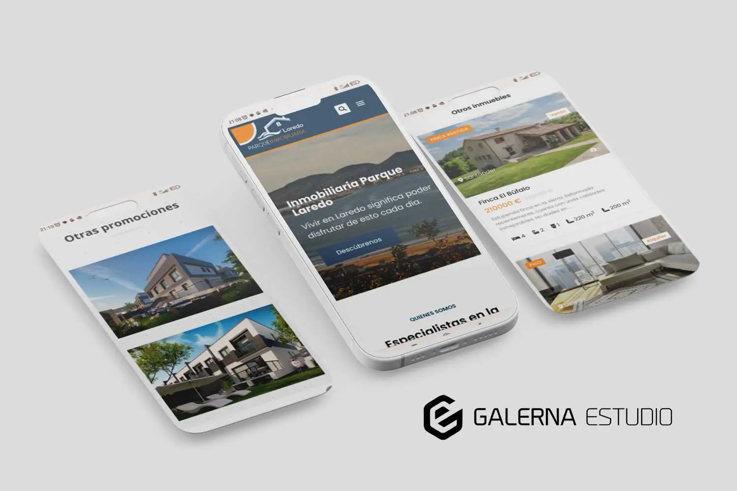 Programación web Wordpress responsive diseñada inmobiliaria Parque