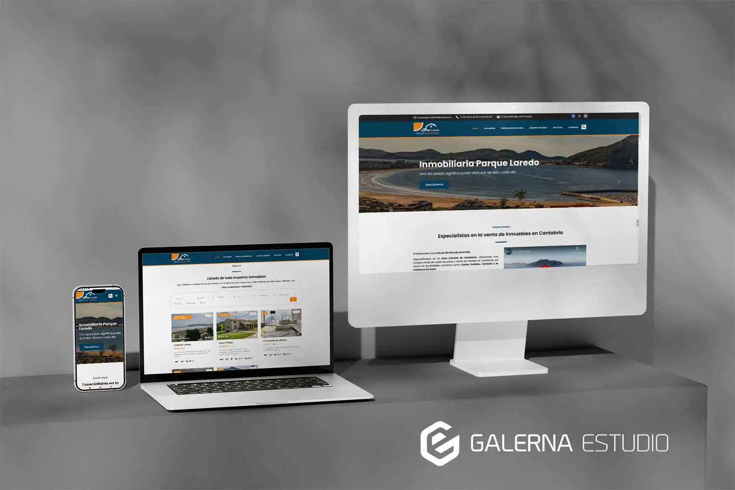 Desarrollo web Wordpress personalizado inmobiliaria Parque