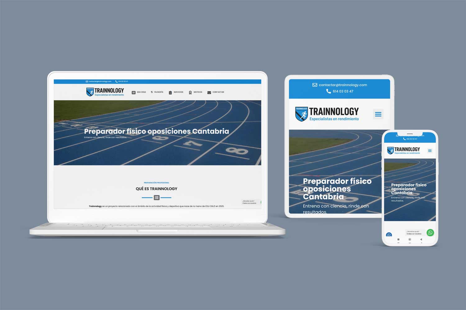 diseno-web-wordpress-trainnology-3