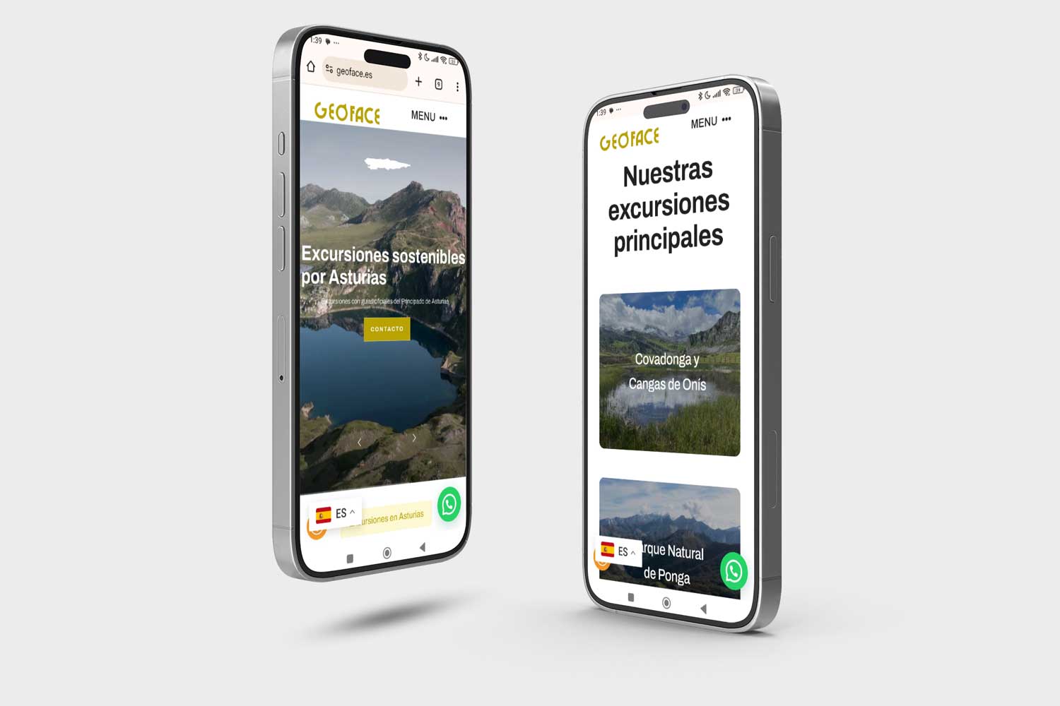 geoface-mantenimiento-web-asturias-7