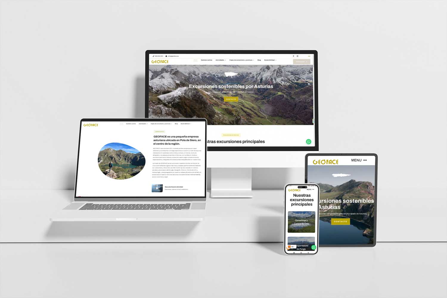 geoface-mantenimiento-web-asturias-8