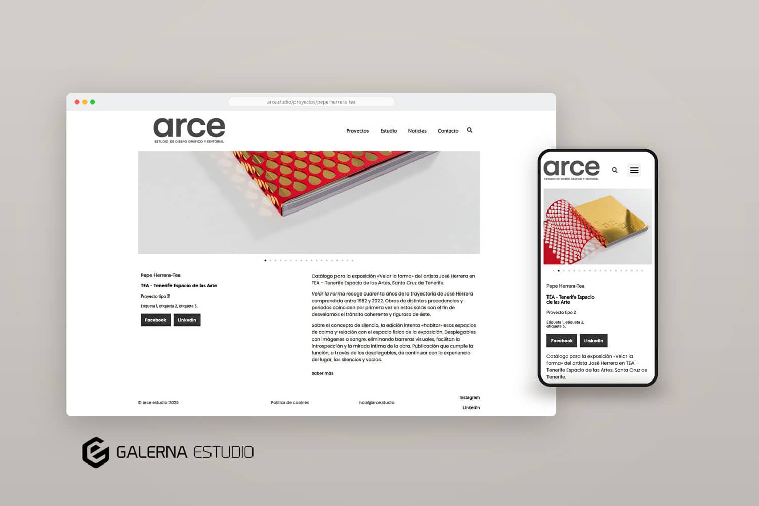 desarrollo portafolio web